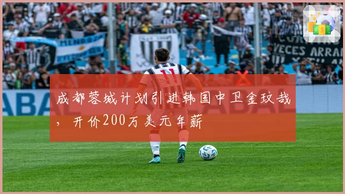 成都蓉城计划引进韩国中卫金玟哉，开价200万美元年薪