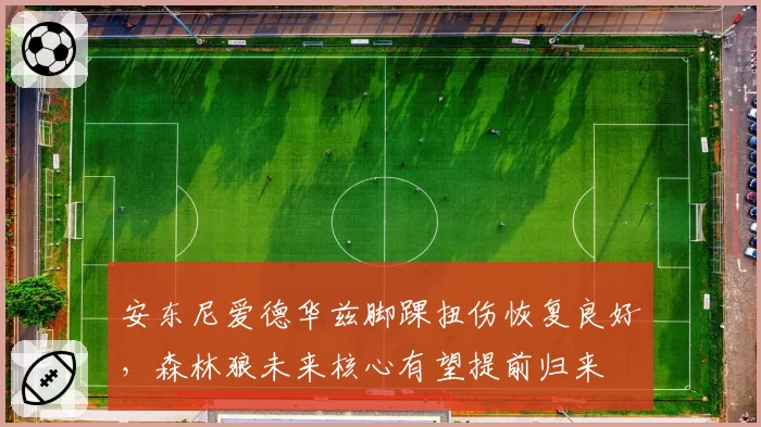 安东尼爱德华兹脚踝扭伤恢复良好，森林狼未来核心有望提前归来