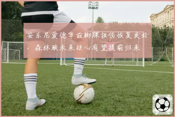 安东尼爱德华兹脚踝扭伤恢复良好，森林狼未来核心有望提前归来